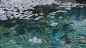 Ice-floating-in-cold-water